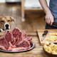 Illustration for article titled Raw-meat dog food may turn your home into a bacterial hellscape
